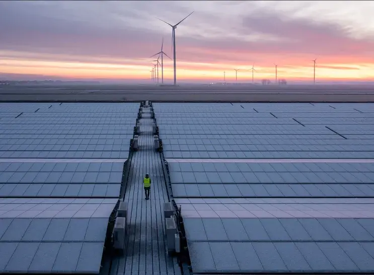 a person walking trough a solar panel farm at dusk