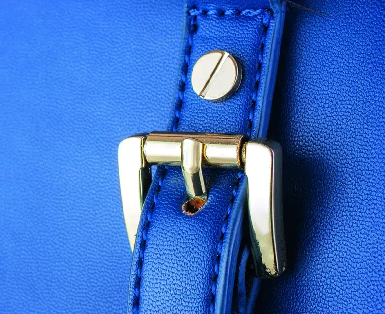golden bag buckle