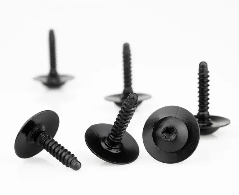 black passivated interior fasteners